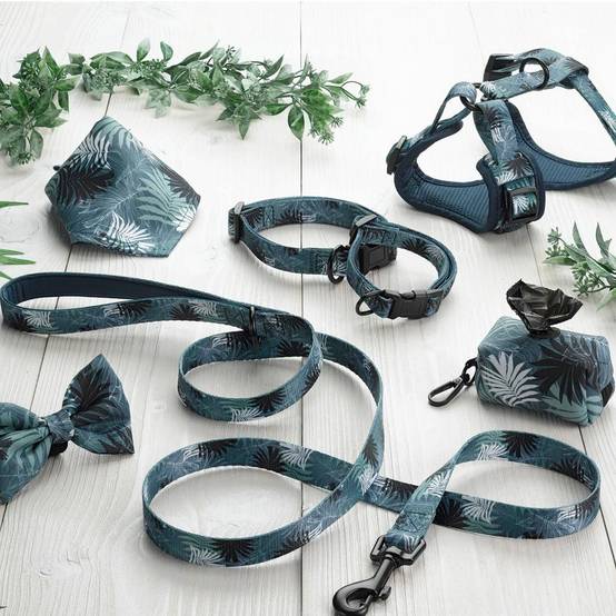 Love Story - Harnais pour Chien Réglable "Eden" 61cm Bleu - Image 5
