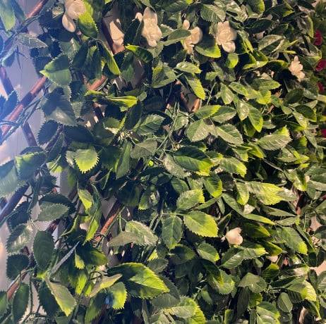 James Grass - France Green - Treillis extensible feuilles de jasmin fleuri, Long 30 m, Hauteur 1 m - Imagen 5