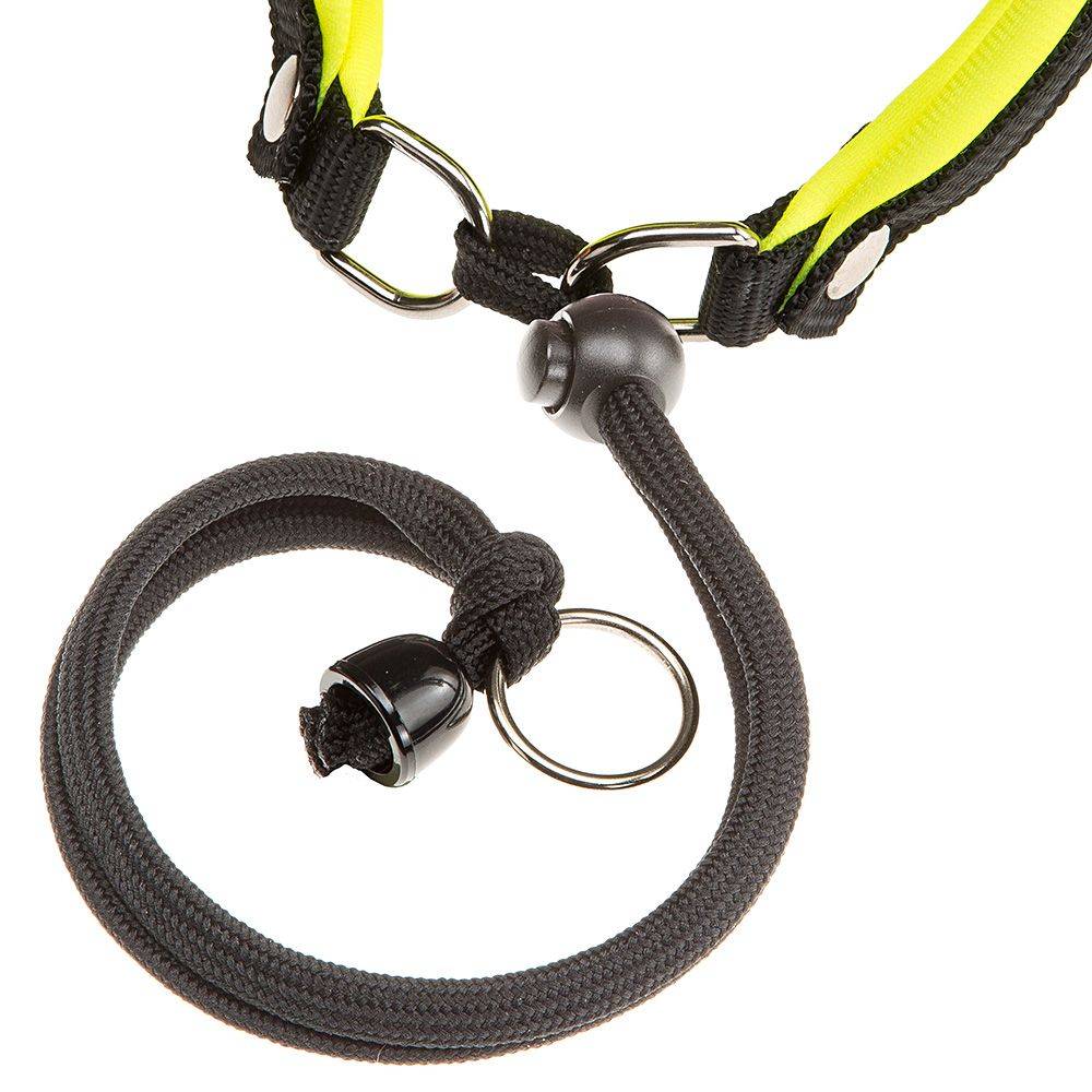 Ferplast - Ferplast Harnais ergonomique pour chiens AGILA FLUO 1, ajustement parfait, fermeture pratique avec lacet, rembourrage souple, A=B 32÷38 cm 15 mm Vert - Imagen 6