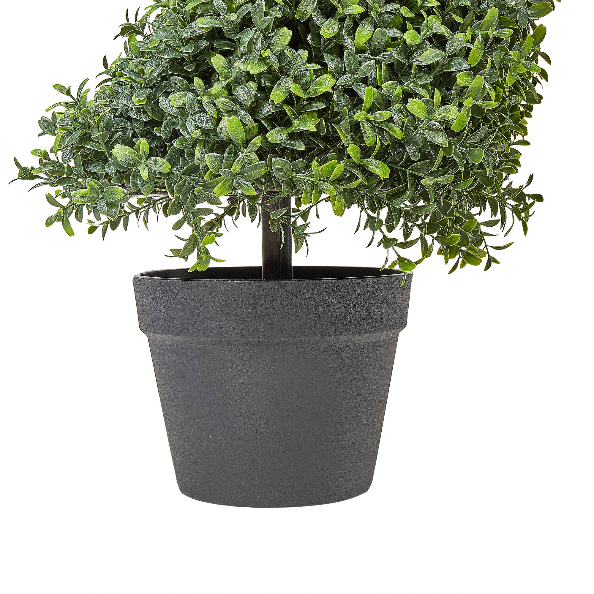 Beliani - Plante artificielle Matière synthétique Vert BUXUS SPIRAL TREE - 30x30x158- Beliani - Image 5