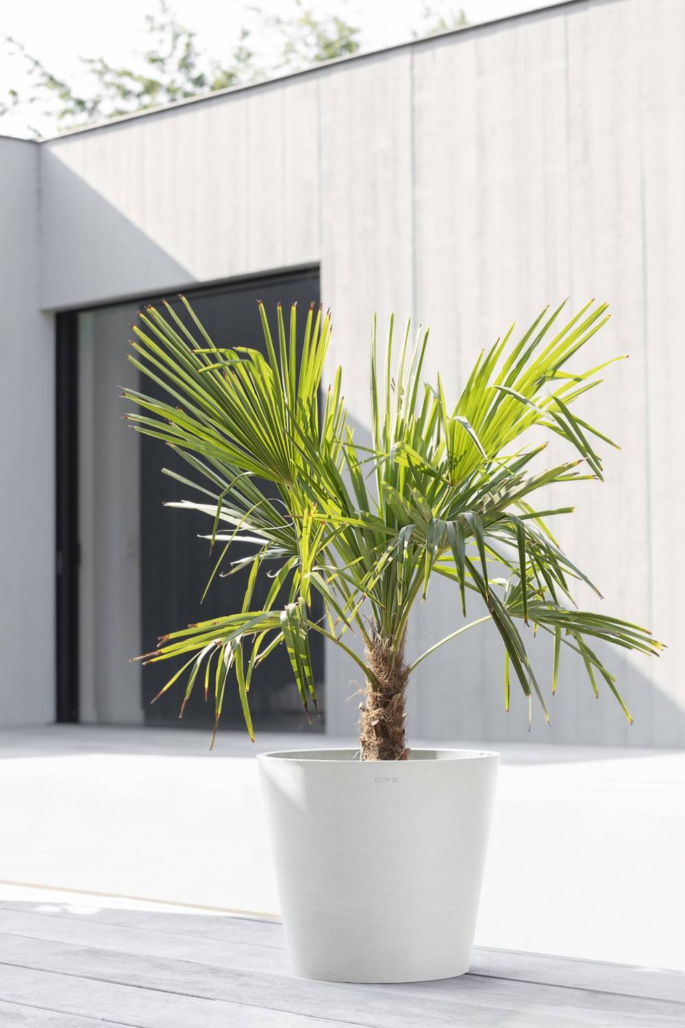 Ecopots - Pot Rond Amsterdam 40 Blanc Pur + réservoir d'eau - Ø 40 x H. 35 cm - 28 L ECOPOTS - Imagen 4