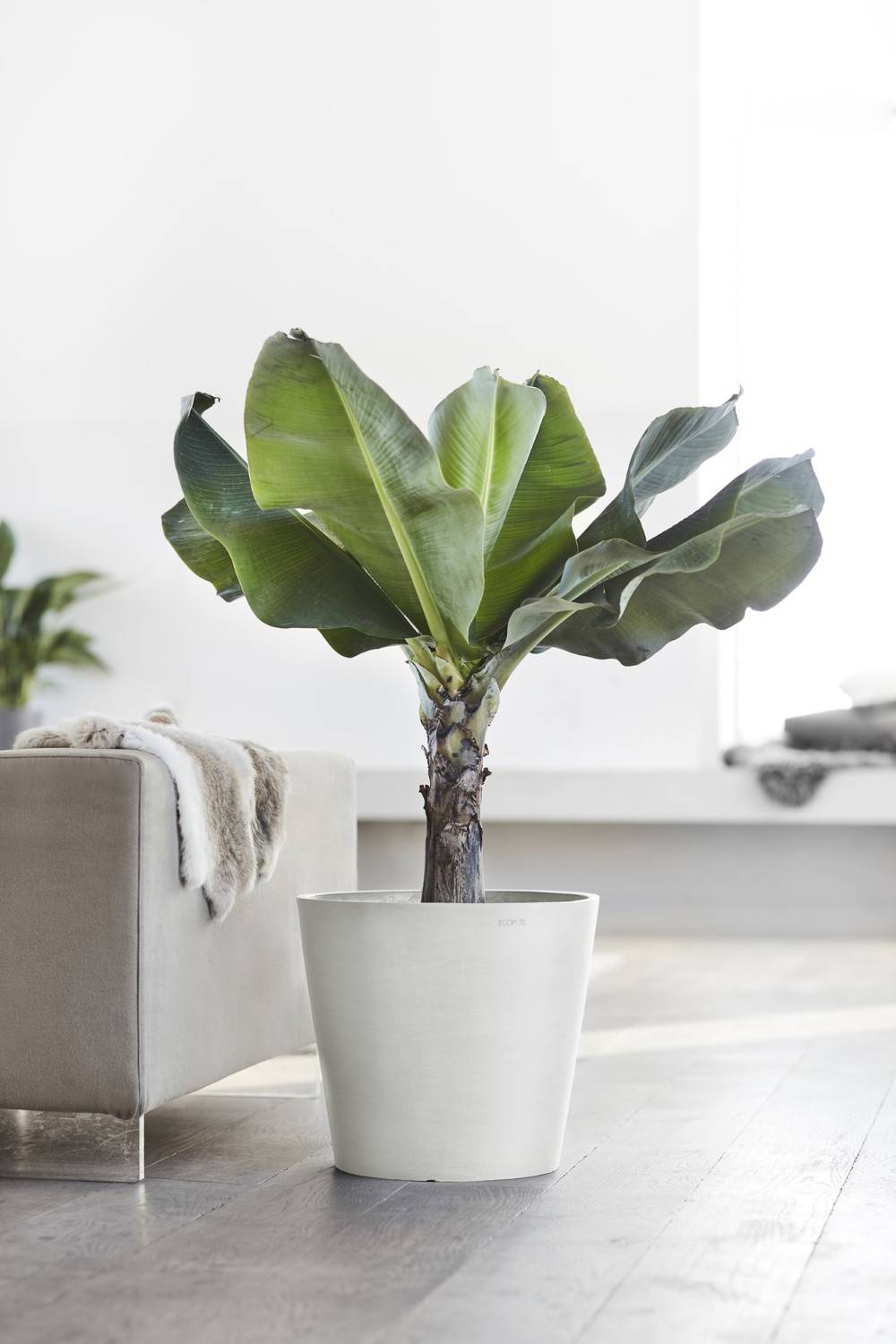 Ecopots - Pot Rond Amsterdam 40 Blanc Pur + réservoir d'eau - Ø 40 x H. 35 cm - 28 L ECOPOTS - Imagen 5