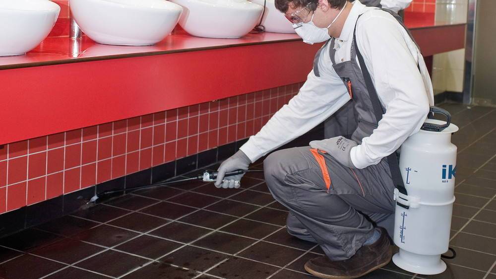 Ik Sprayers - Puvérisateur à pression préalable IK ALK 9 - alcalines, alcools et acétones IK Sprayers - Imagen 2