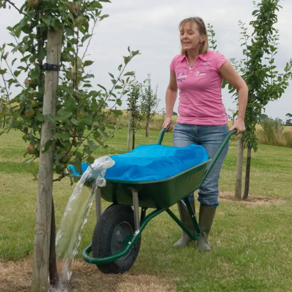Autre - Arrosage poche à eau  80 litres - Image 2