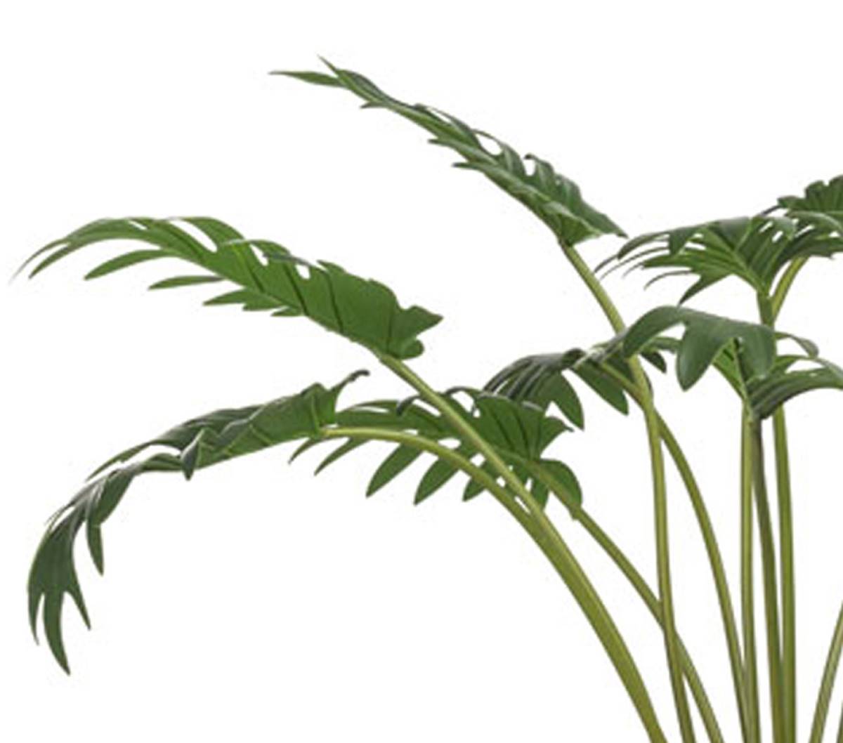 Artificielles - Philodendron artificiel en pot, H 65 cm, D 86 cm - Imagen 3