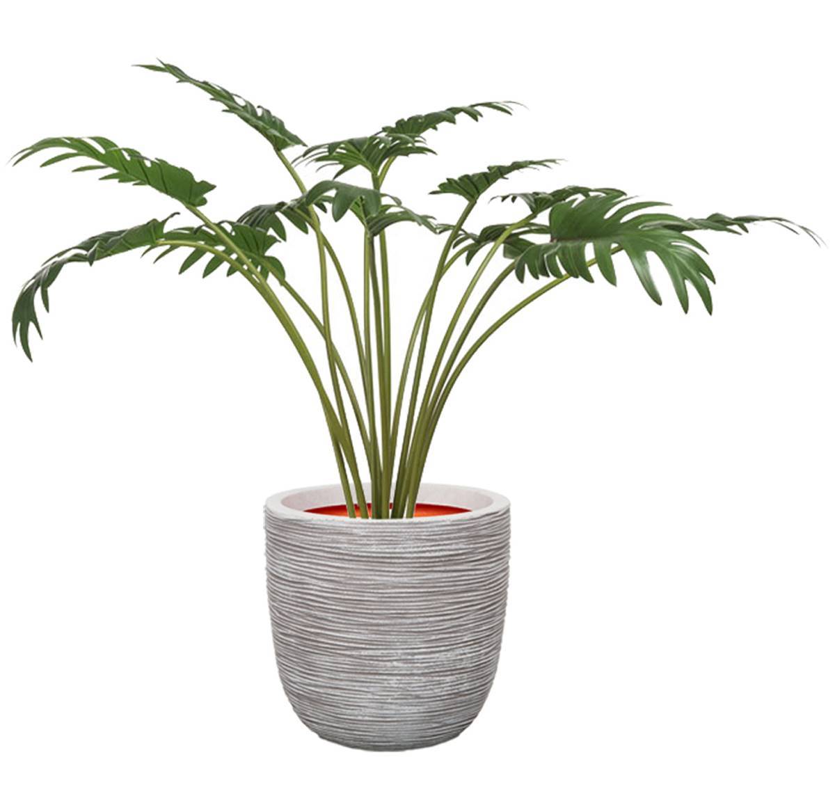 Artificielles - Philodendron artificiel en pot, H 65 cm, D 86 cm - Imagen 2