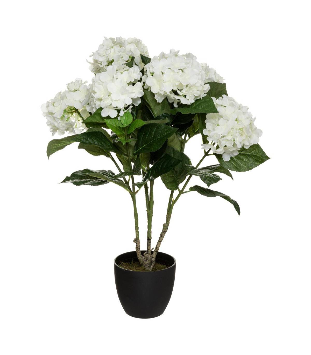 Plante artificielle Hortensia Blanc en pot H 60 cm - Imagen 1