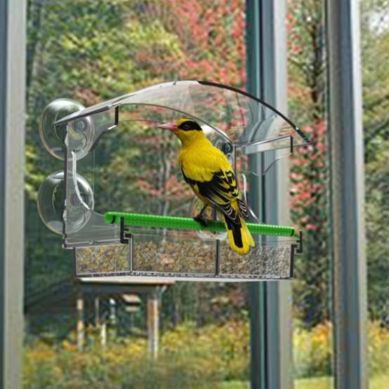 IntiMeg - Mangeoire à oiseaux IntiMeg - Image 5