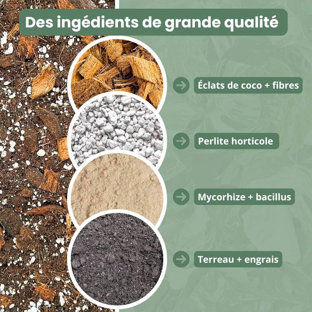 Terreau monstera - Enrichi en mycorhize et bacillus - Substrat Aracées - 10L - Terreau rempotage - Image 7
