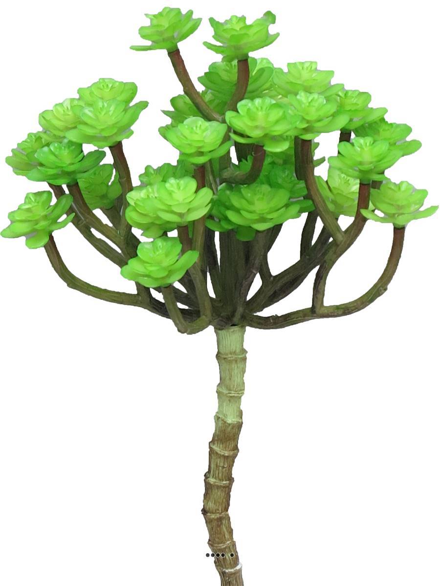 Artificielles - Mini têtes d'echeveria factices en piquet, H22cm, D12cm, Vert - BEST - couleur: Vert - Imagen 2