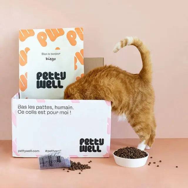 Petty Well - Croquettes Sans Céréales Poulet & Dinde pour Chat - Imagen 2