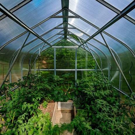 Serre KLASIKA Standard 20m2, 2,5m x 8m, 4 mm avec revêtement en polycarbonate (Avec 4 toits ouvrants automatiques) - Image 8