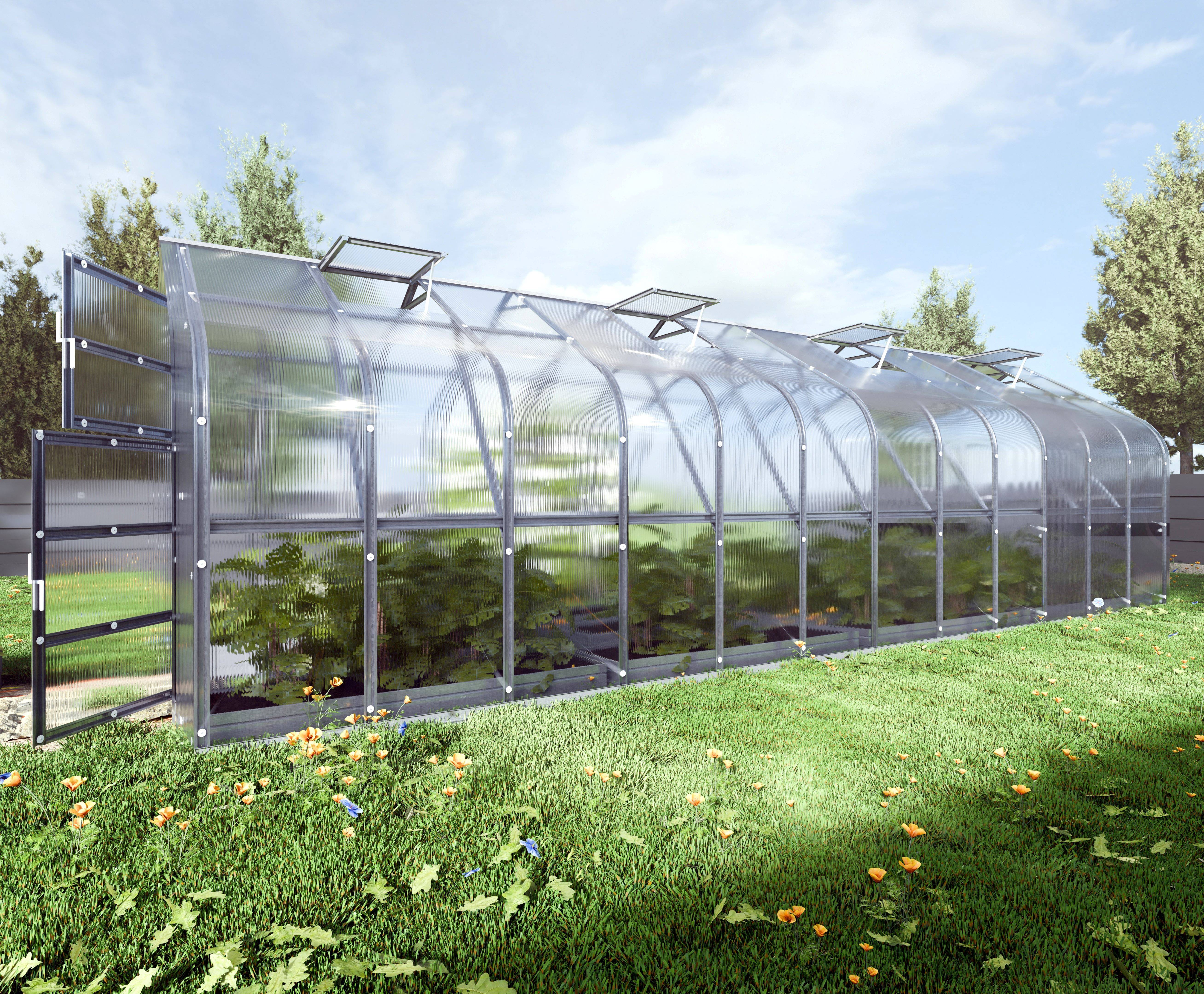 KLASIKA GREENHOUSES - Serre KLASIKA Standard 20m2, 2,5m x 8m, 4 mm avec revêtement en polycarbonate (Avec 4 toits ouvrants automatiques) - Image 3