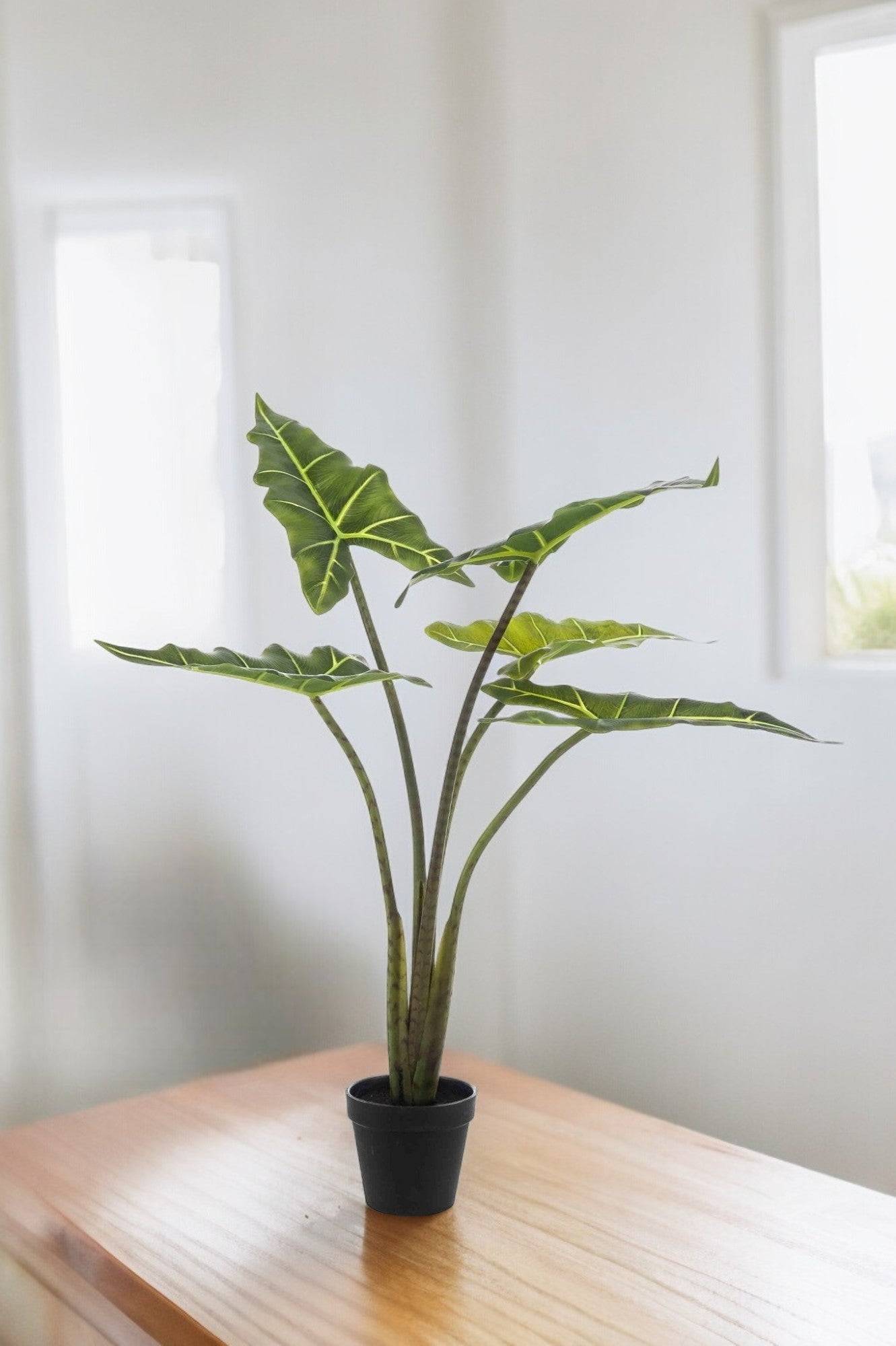 La Green Touch - Alocasia artificiel- La Green Touch - Imagen 1