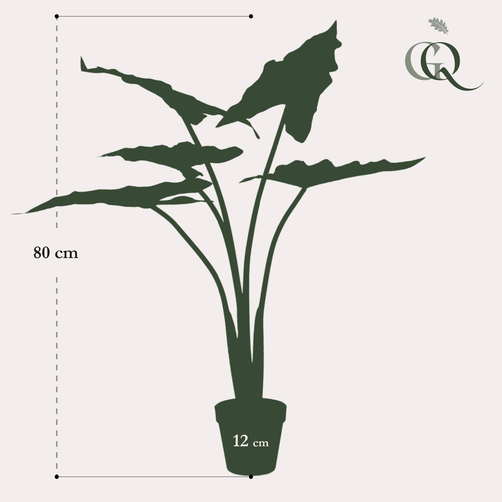 La Green Touch - Alocasia artificiel- La Green Touch - Imagen 5