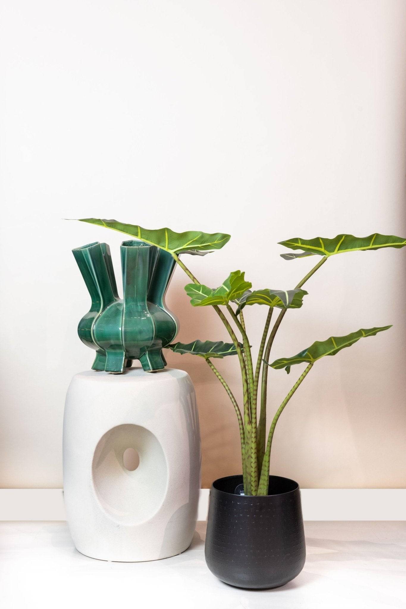 La Green Touch - Alocasia artificiel- La Green Touch - Imagen 6