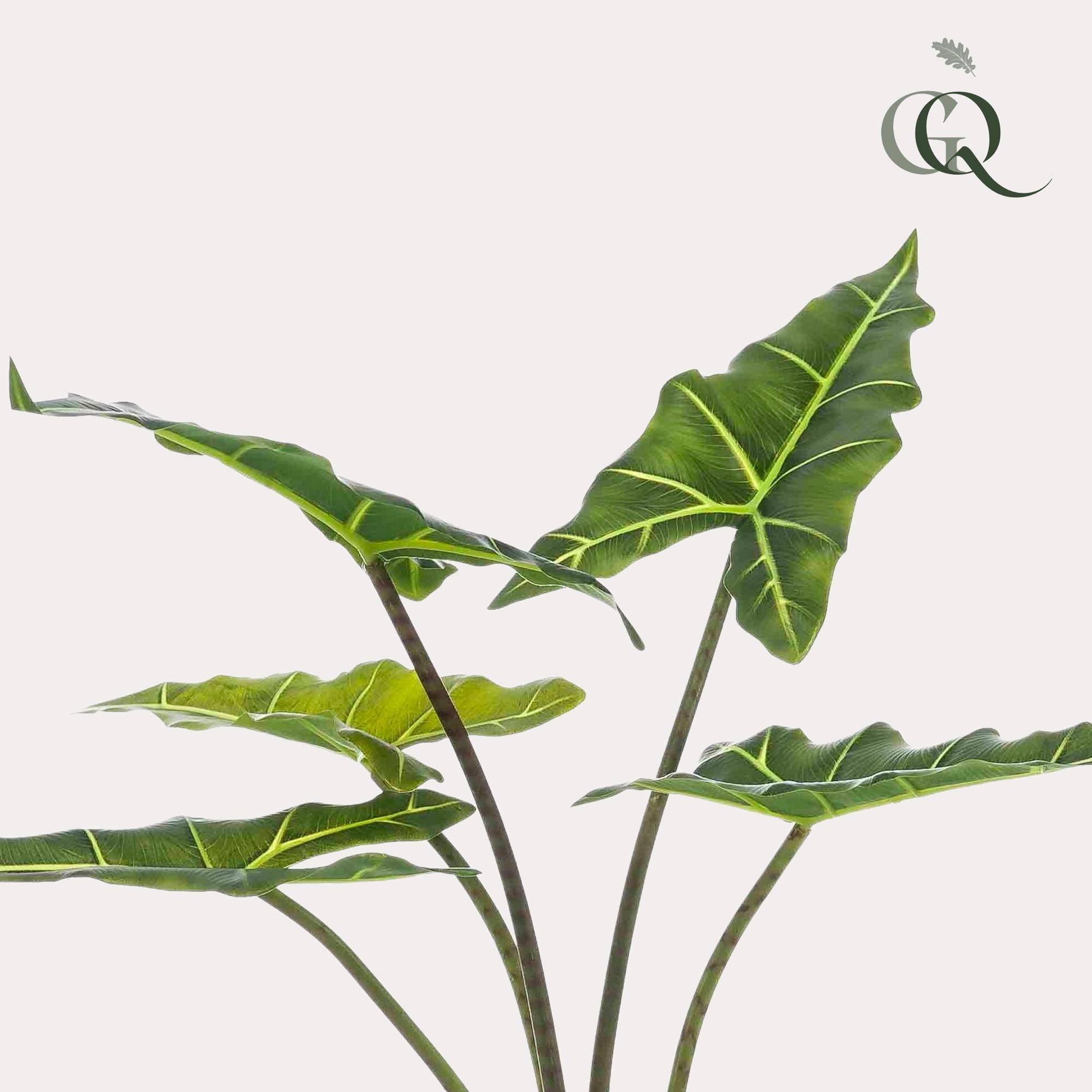La Green Touch - Alocasia artificiel- La Green Touch - Imagen 2