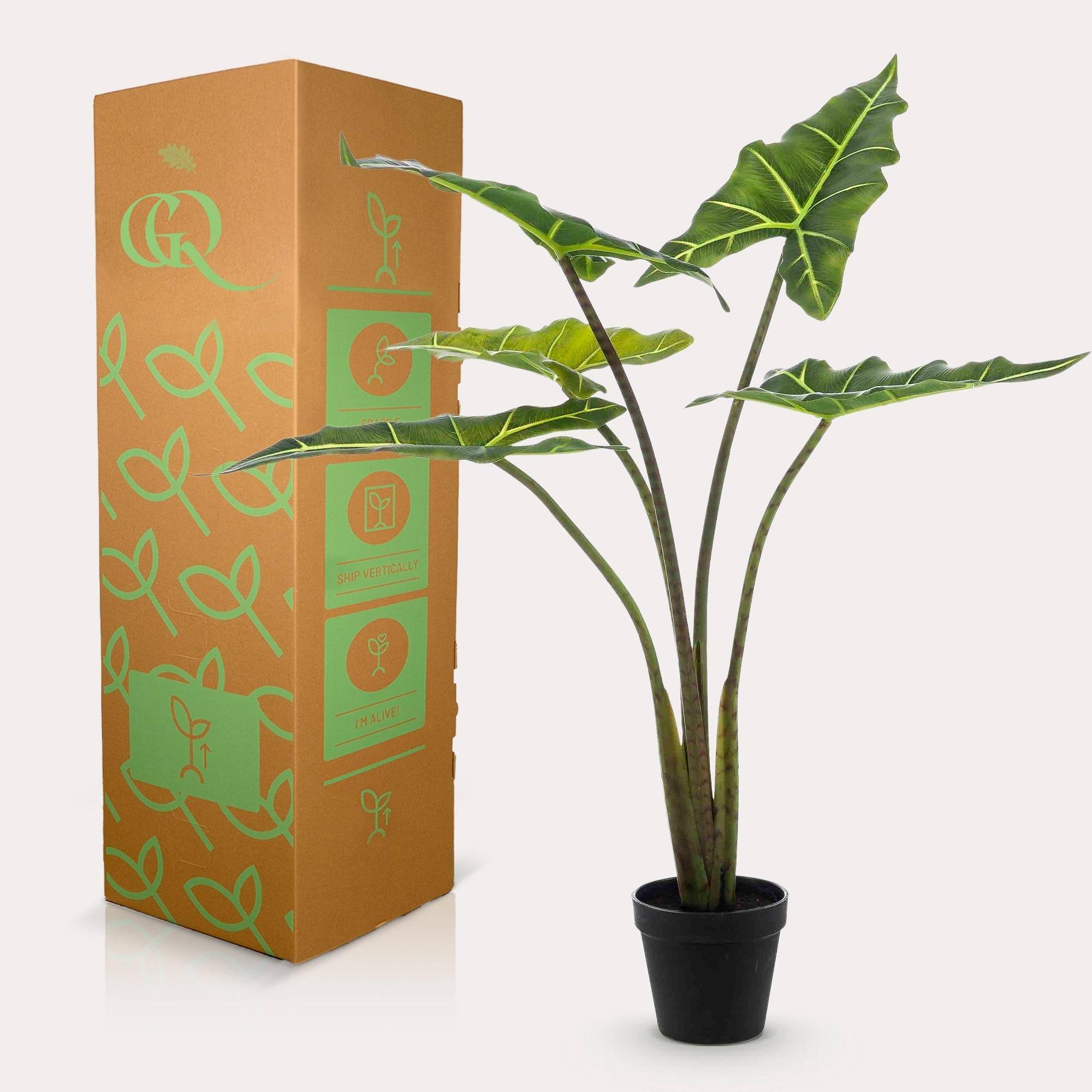 La Green Touch - Alocasia artificiel- La Green Touch - Imagen 4