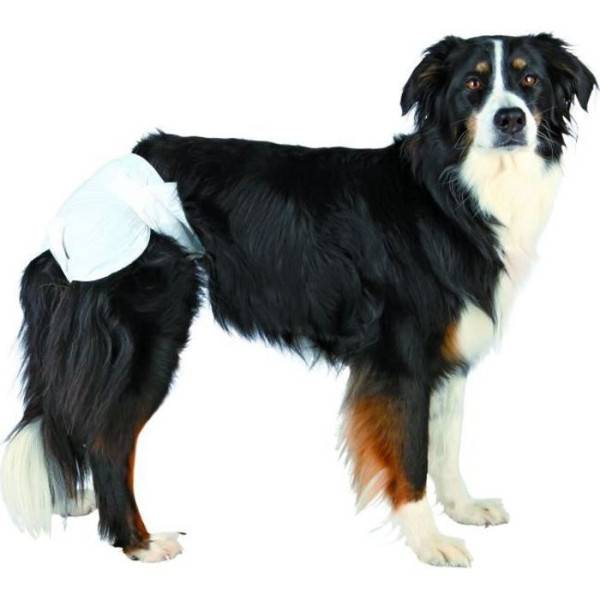 Trixie - TRIXIE Pañales para perros talla L