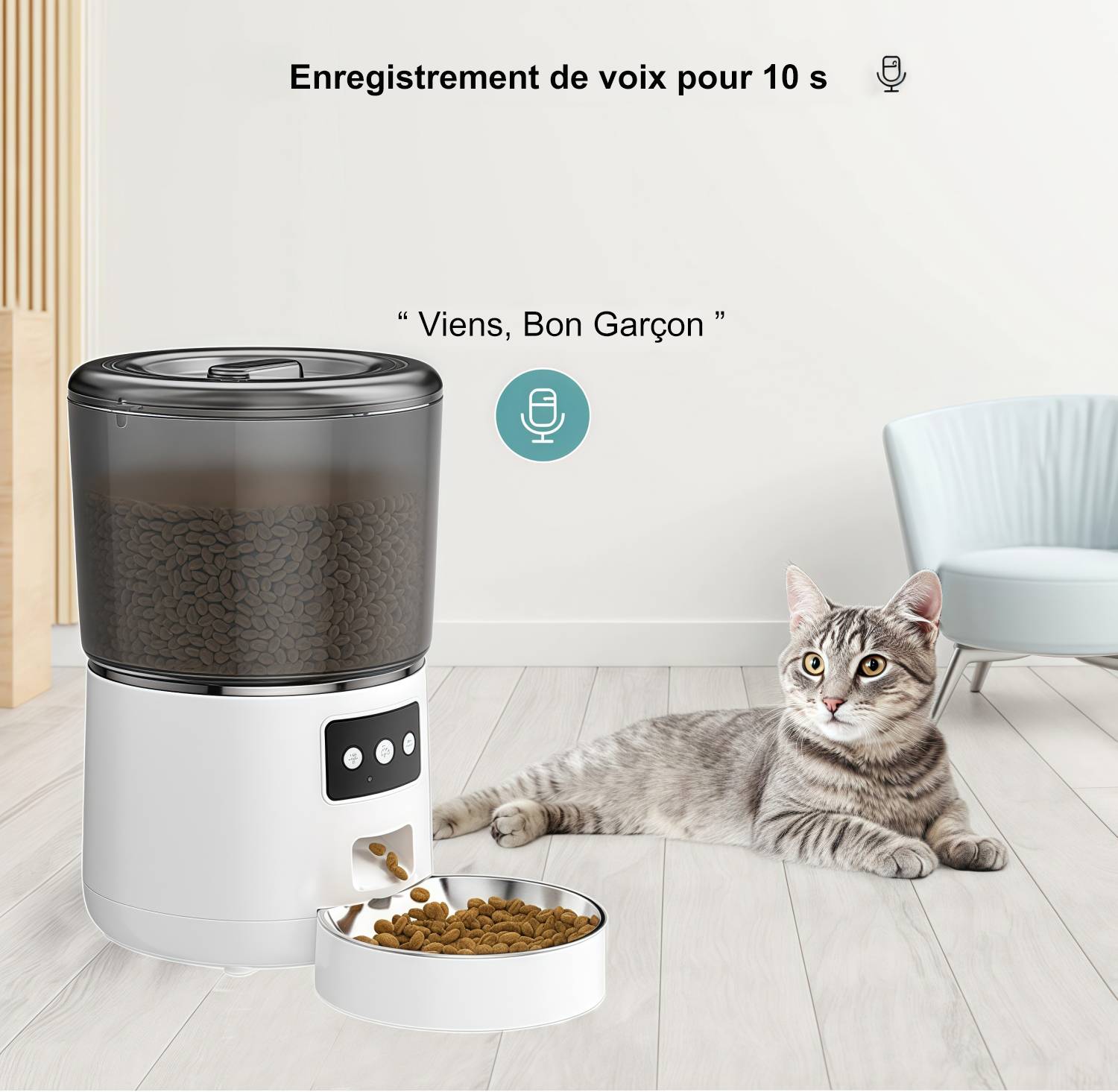 Distributeur automatique de nourriture pour chats 4L - Image 4