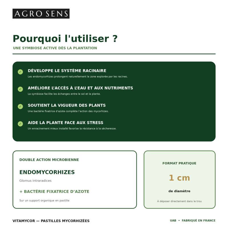 VitaMycor Pastilles - Mycorhizes pour plantations - Agro Sens - Sachet 25 Pastilles - Image 6