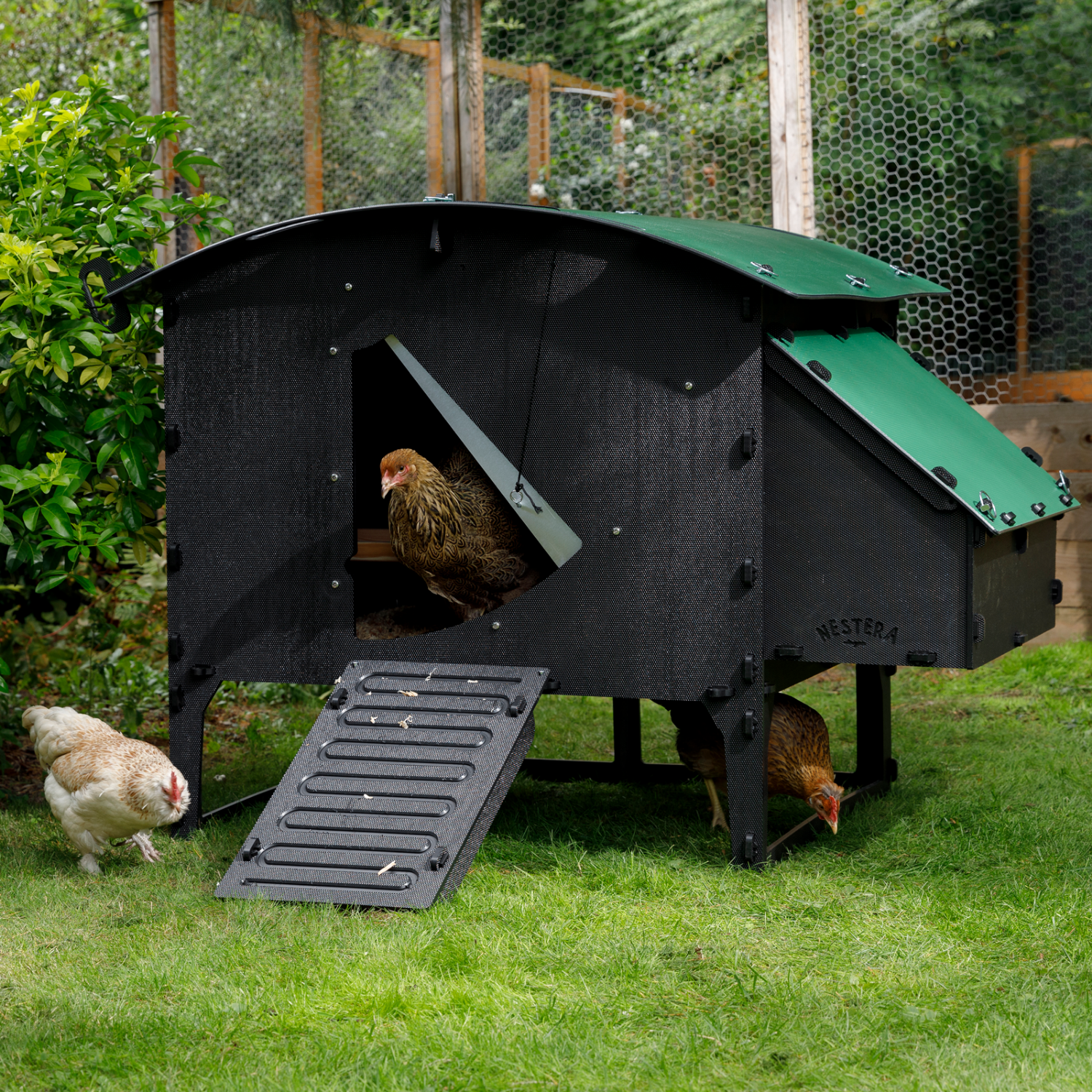 Poulailler Nestera The Lodge Large 8 poules - Plastique recyclé - garanti 25 ans - Imagen 1