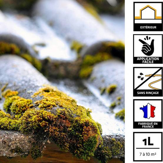 Stop Algues PRO Sikagard-130 - Algicide Fongicide Bidon 20L: toiture, terrasse, extérieur... SIKA - Image 3