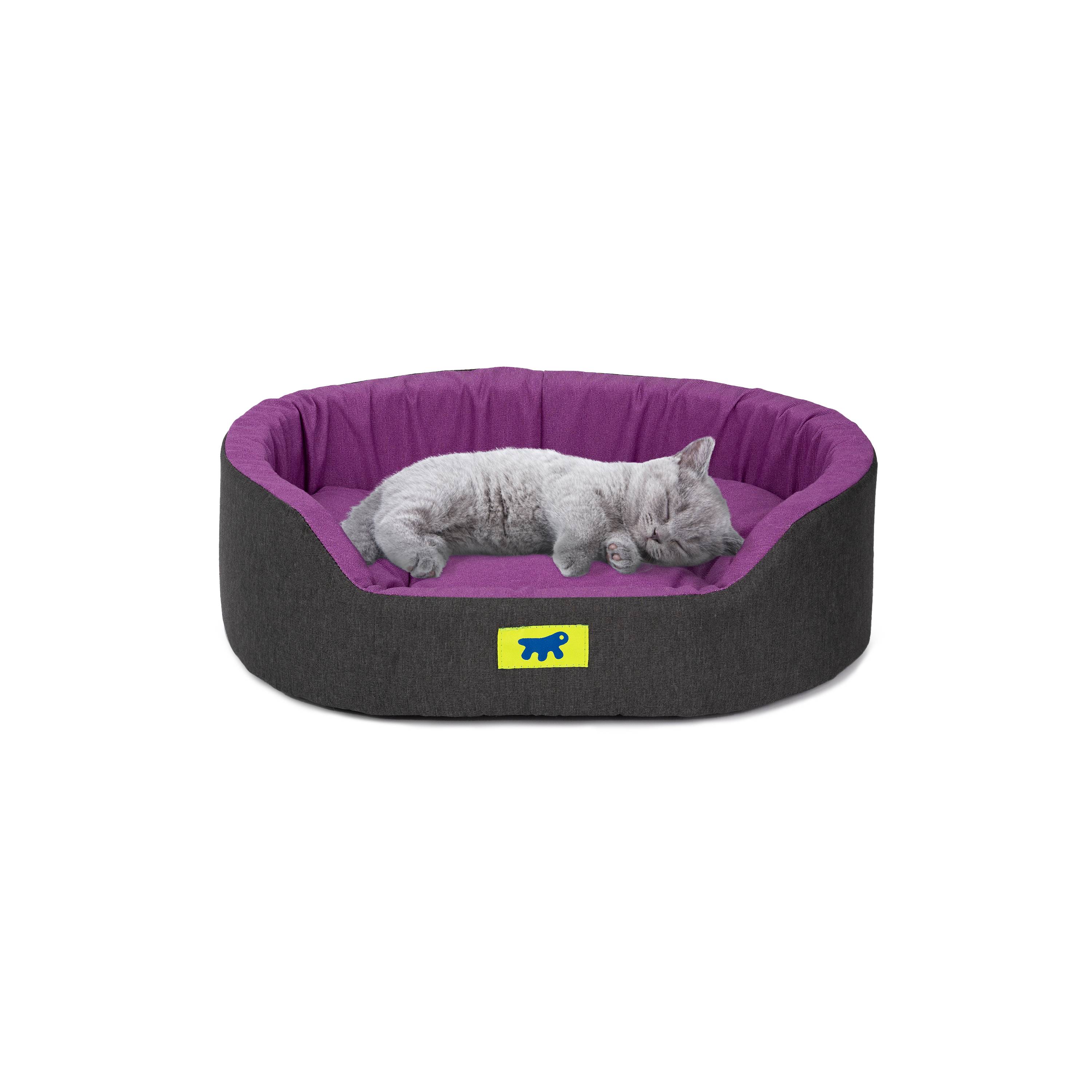 Ferplast - Ferplast Panier Chien Dandy, Coussin Amovible et Lavable, Housse en Coton avec Rembourrage Doux, Idéale également comme Niche pour Chat, 55 x 41 x H - Imagen 4