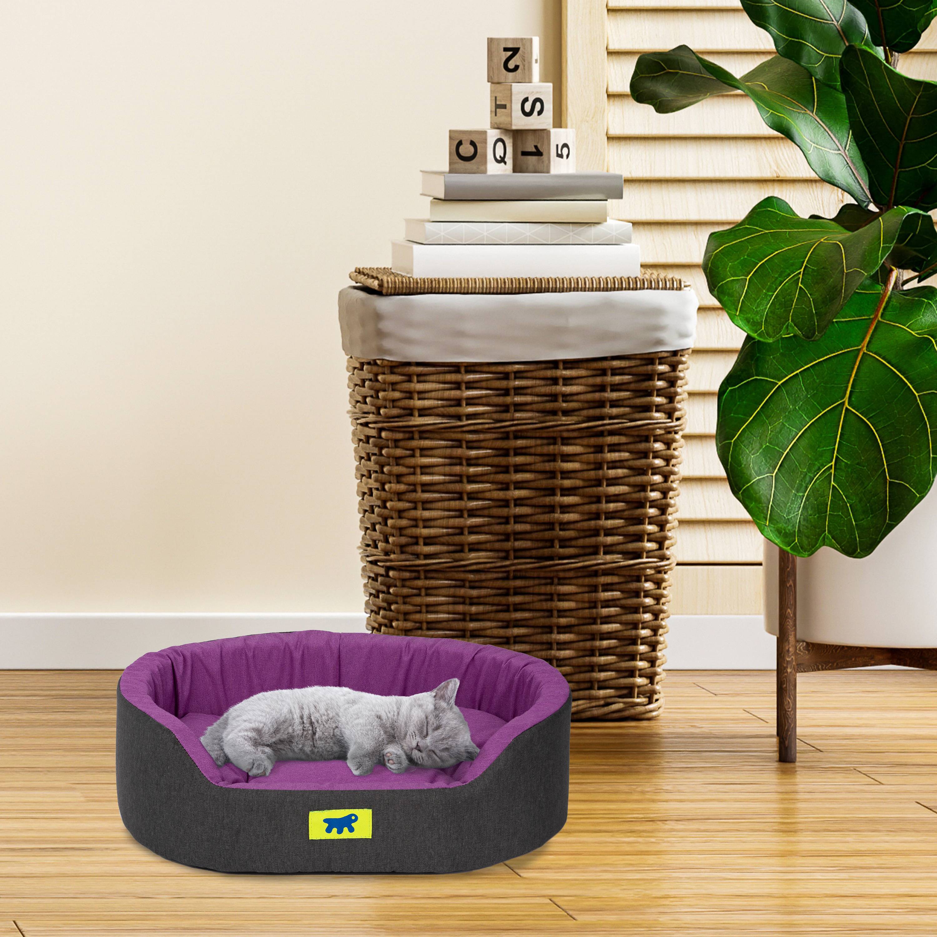 Ferplast - Ferplast Panier Chien Dandy, Coussin Amovible et Lavable, Housse en Coton avec Rembourrage Doux, Idéale également comme Niche pour Chat, 55 x 41 x H - Imagen 3