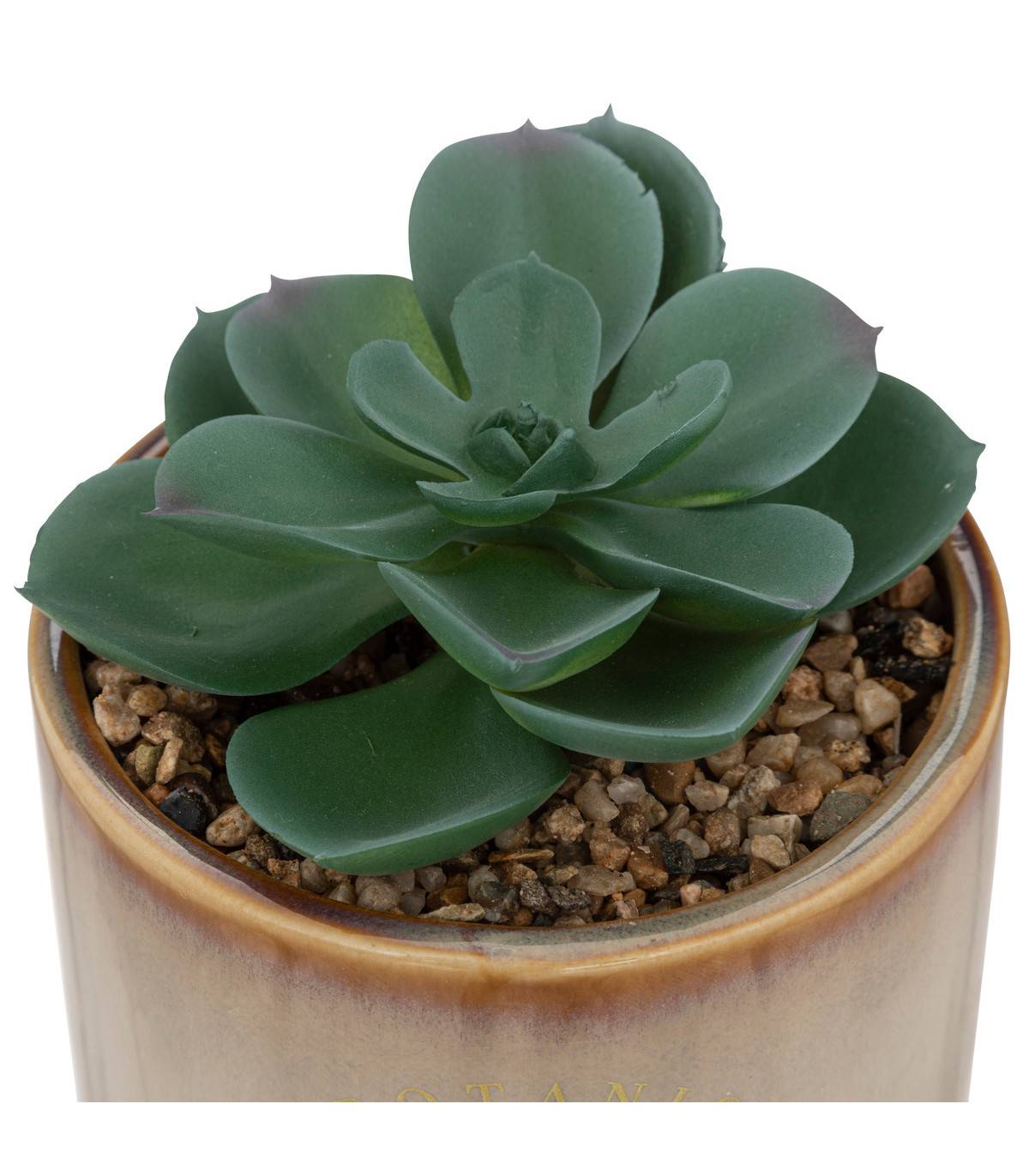Atmosphera - Plante grasse artificielle Pot en céramique émaillée H 14 cm - Imagen 2