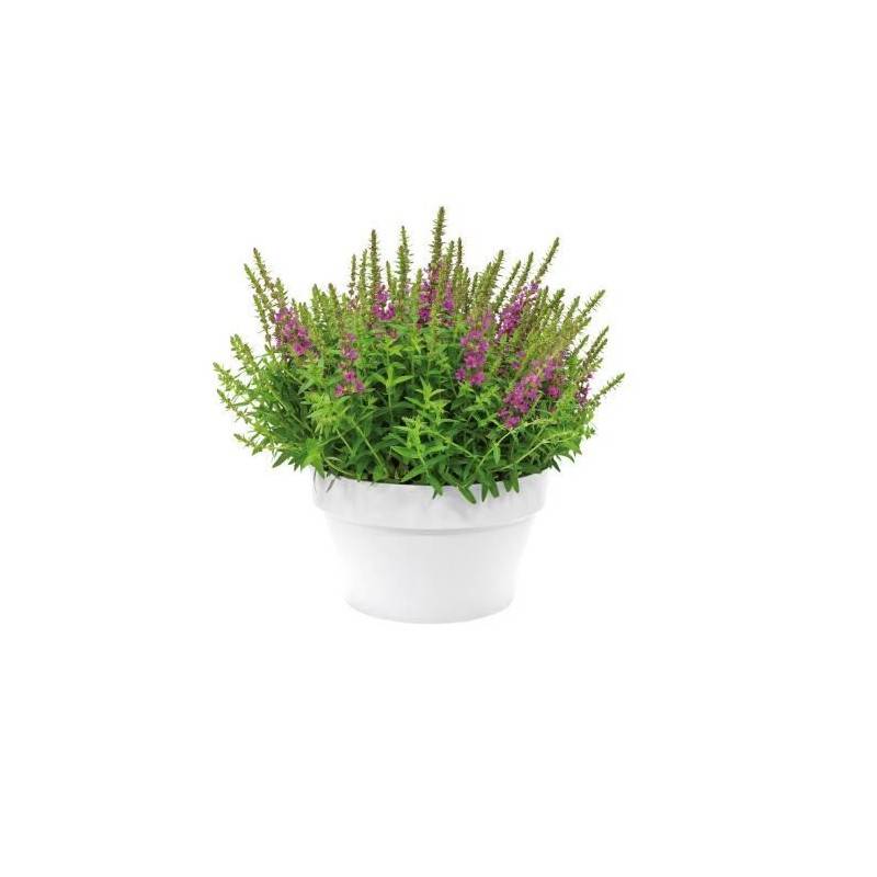 Elho - Elho Pot De Fleurs Loft Urban - Coupe 35 Cm - Bleu Vintage - Imagen 2
