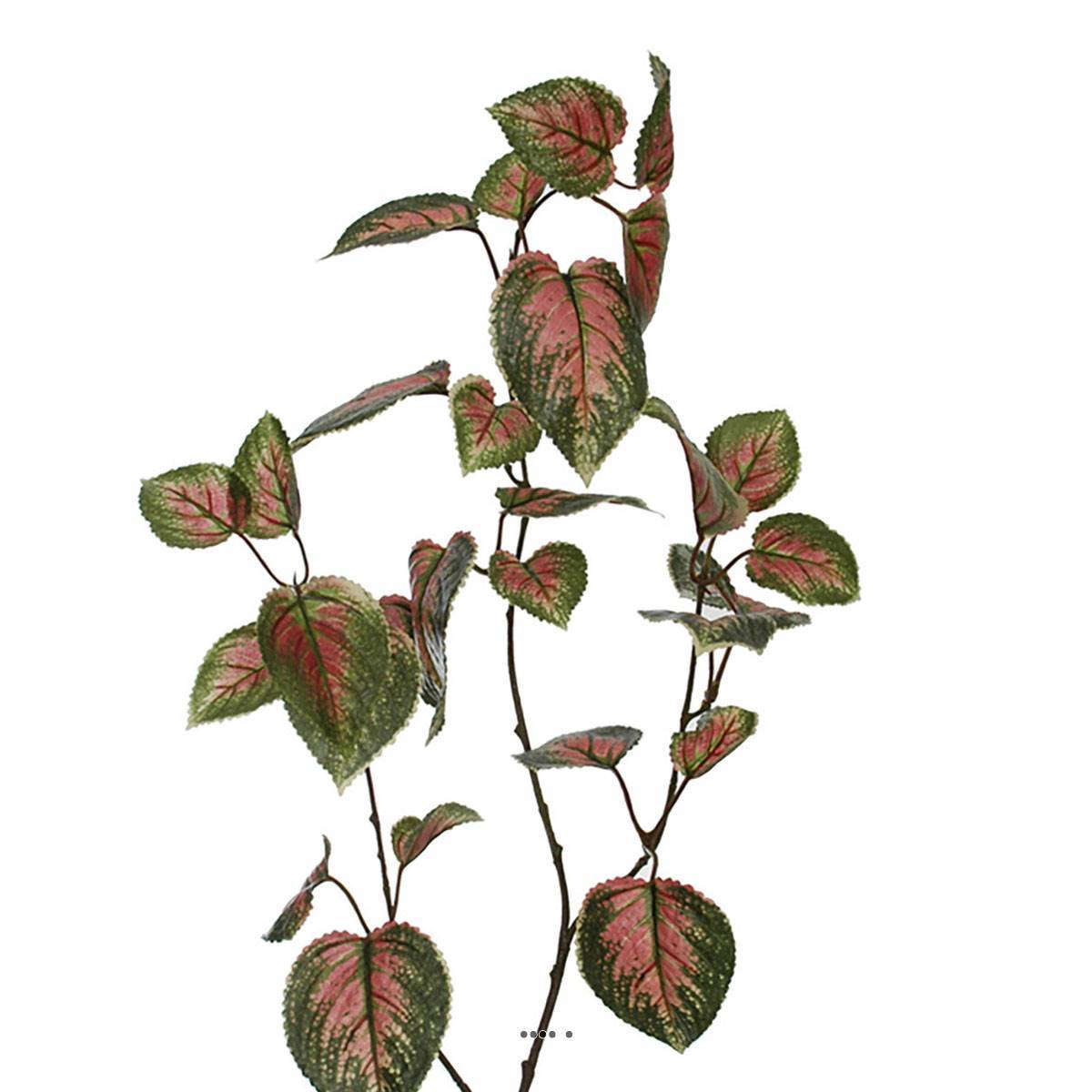 Artificielles - Tige de coleus artificielle, H 94 cm, L26 cm Vert-rose - Imagen 3