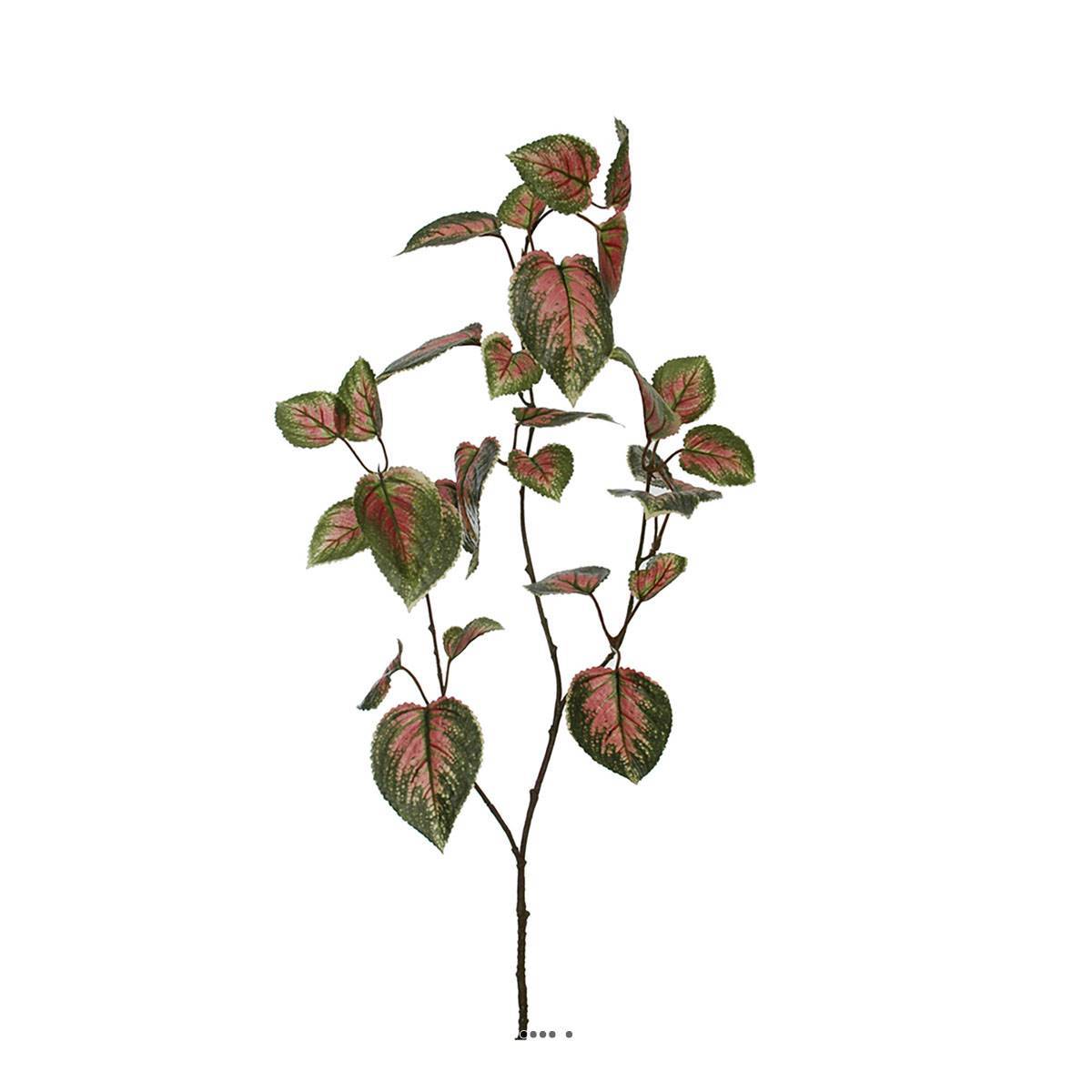 Artificielles - Tige de coleus artificielle, H 94 cm, L26 cm Vert-rose - Imagen 1