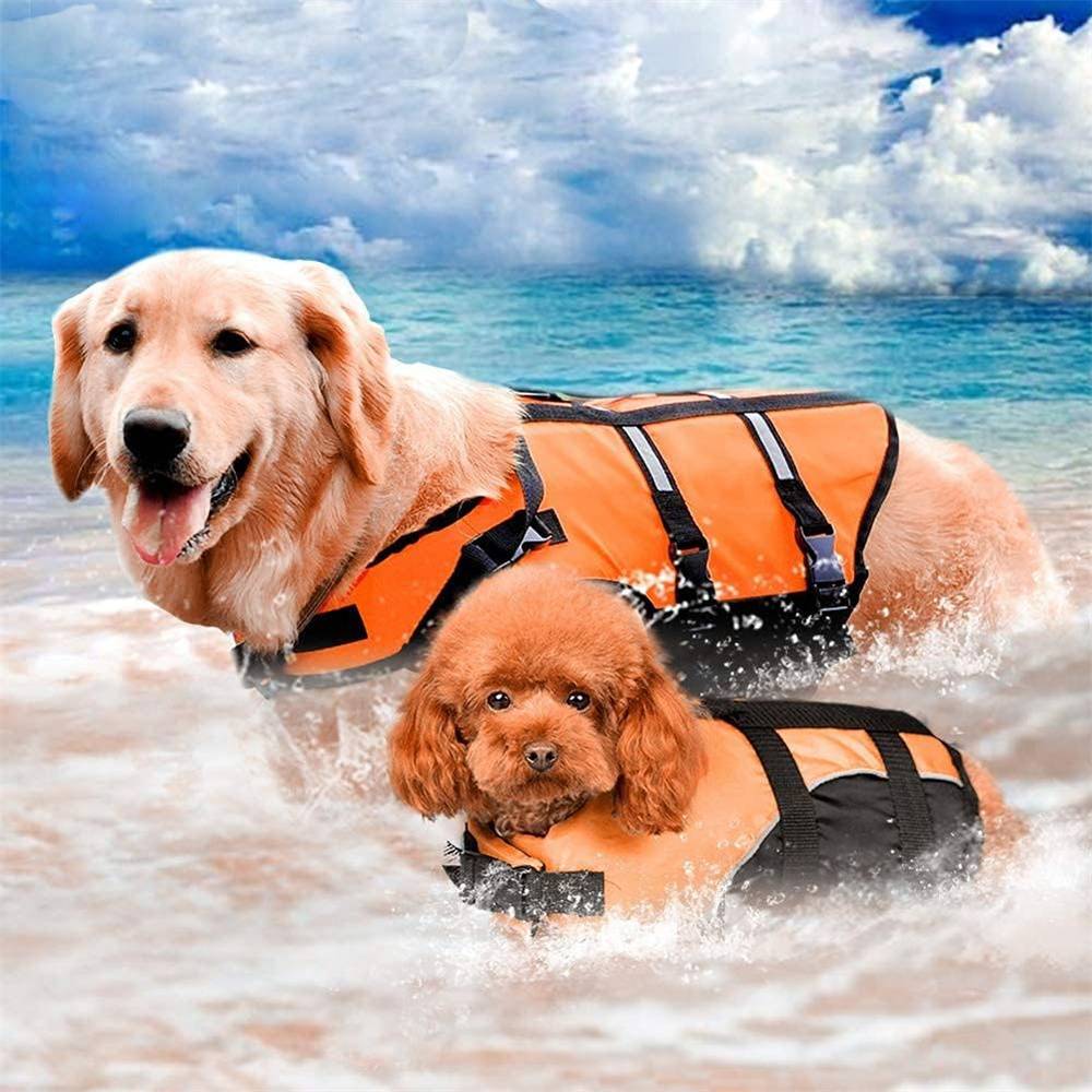 Gilet de sauvetage pour chien - Forte flottabilité DtopbuyAge - Image 3