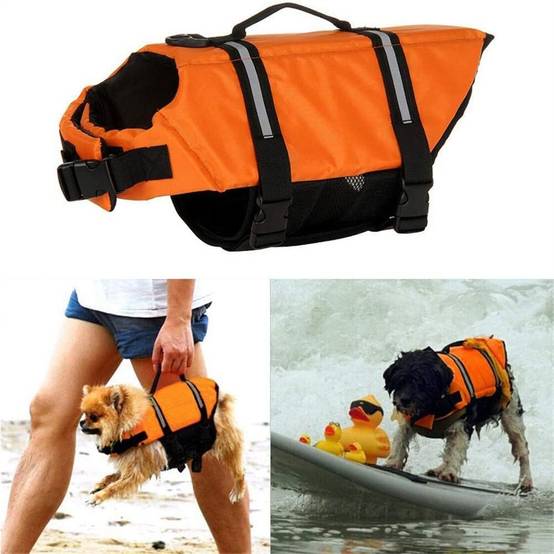 Gilet de sauvetage pour chien - Forte flottabilité DtopbuyAge - Image 4