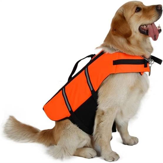 Gilet de sauvetage pour chien - Forte flottabilité DtopbuyAge - Image 2