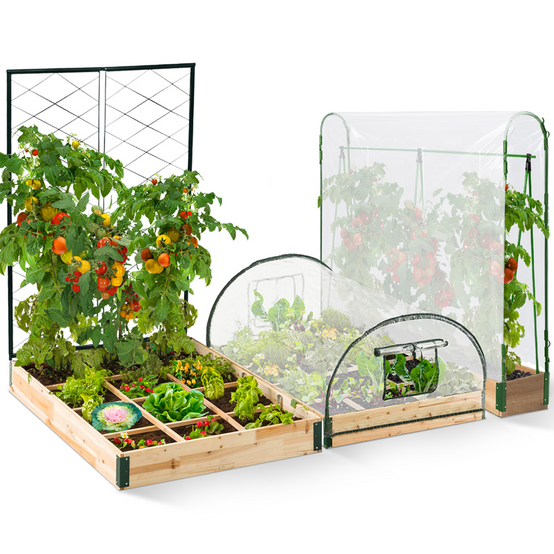 Kit complet 3 bacs modulables carrés potager et serre à tomates + treillis + housse - Image 2