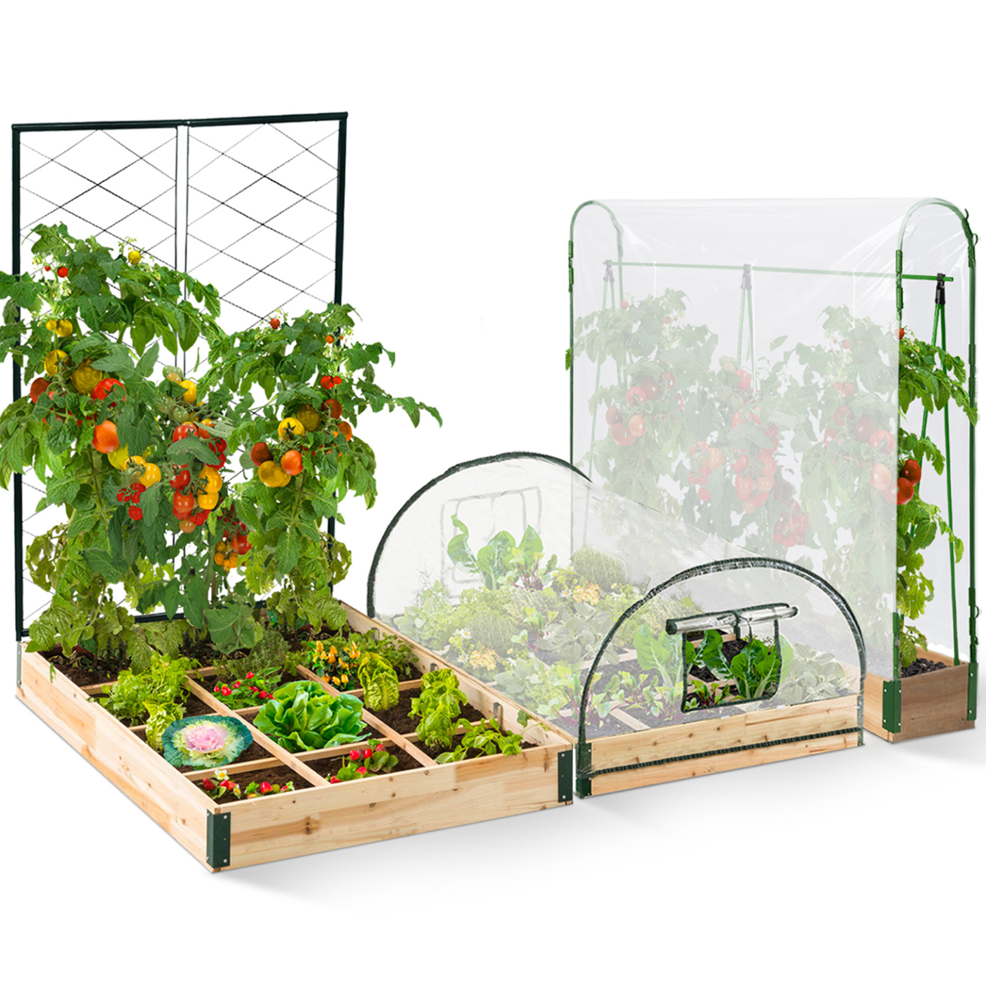Kit complet 3 bacs modulables carrés potager et serre à tomates + treillis + housse - Image 2