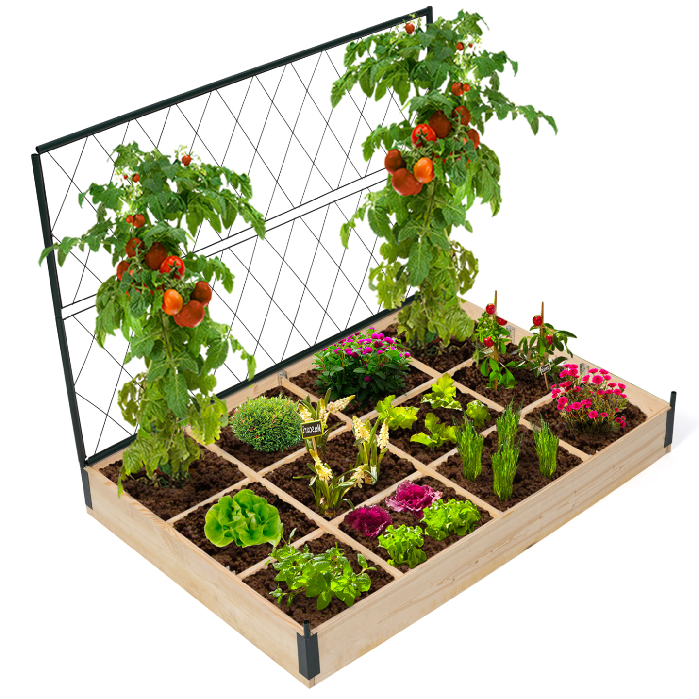 Kit complet 3 bacs modulables carrés potager et serre à tomates + treillis + housse - Image 5