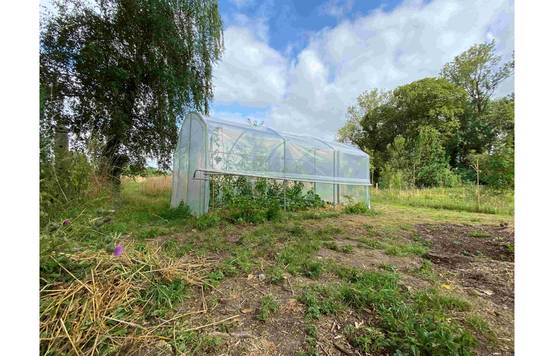 Serre tunnel de jardin - 13,5m² - 3 x 4,5 m - pieds droits - aérations latérales - 4 saisons - LES SERRES TONNEAU - Image 3