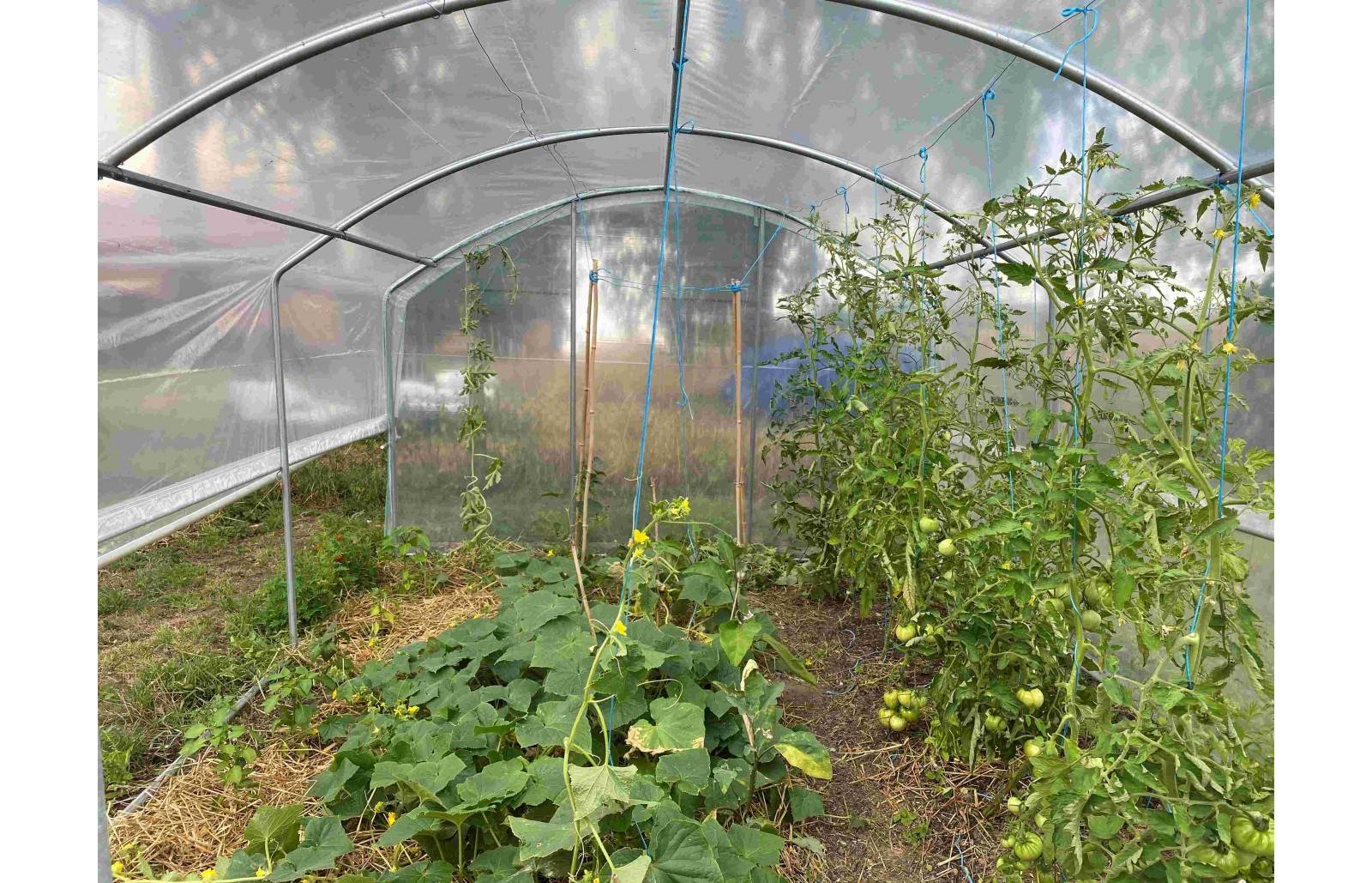 Serre tunnel de jardin - 13,5m² - 3 x 4,5 m - pieds droits - aérations latérales - 4 saisons - LES SERRES TONNEAU - Image 10