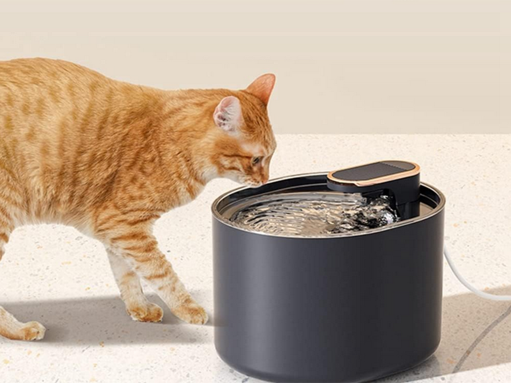 Abreuvoir automatique pour  chien et chat automatique bol d'eau - Image 3