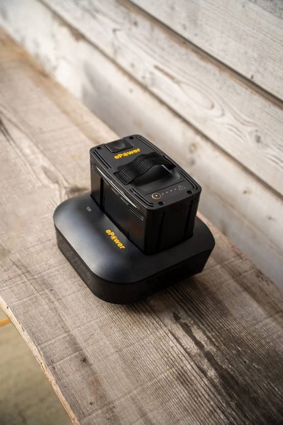 Stiga - Chargeur pour batteries au plomb C 430 F - Stiga - Image 6