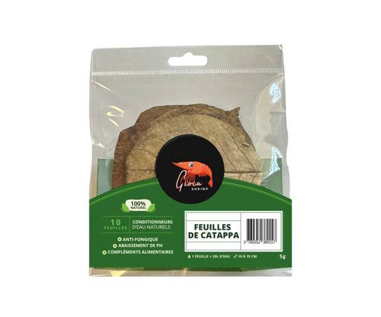 Feuilles de Catappa pour Les crevettes d'aquarium - Lot de 10 Feuilles I Nourriture pour crevette d'aquarium I Conditionneur d'eau
