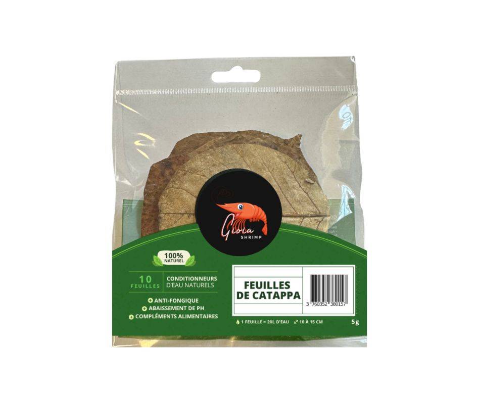 Feuilles de Catappa pour Les crevettes d'aquarium - Lot de 10 Feuilles I Nourriture pour crevette d'aquarium I Conditionneur d'eau