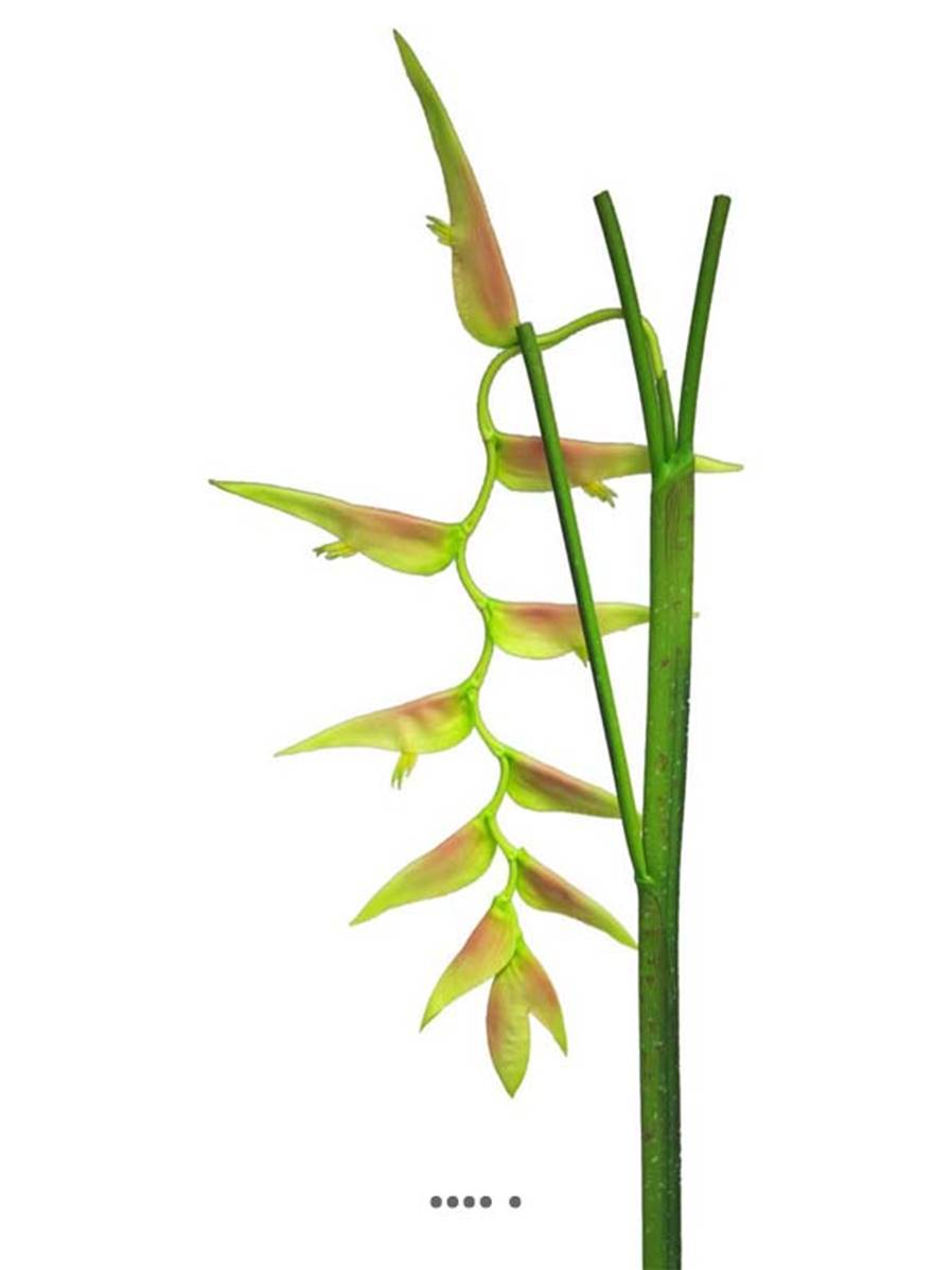 Artificielles - Branche d&rsquo;Heliconia Equatorial, L 128 cm Vert-rose - BEST - couleur: Vert-rose - Imagen 2
