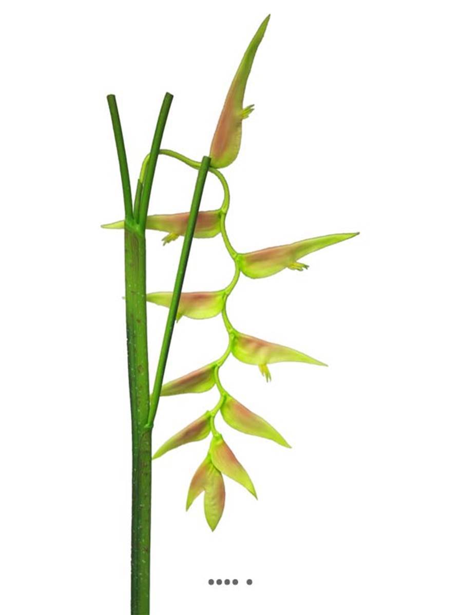 Artificielles - Branche d&rsquo;Heliconia Equatorial, L 128 cm Vert-rose - BEST - couleur: Vert-rose - Imagen 3