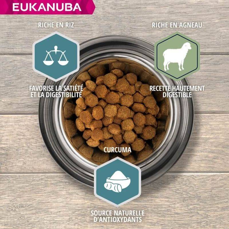 Eukanuba - CROQUETTES CHIEN ADULT LARGE AGNEAU - EUKANUBA 12 kg - Imagen 2
