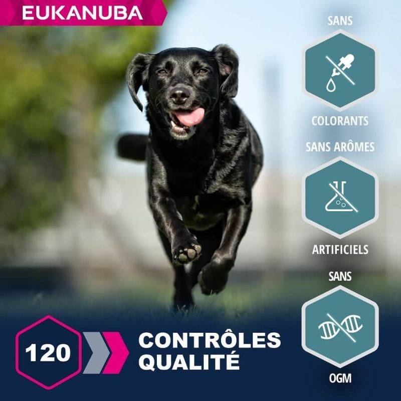 Eukanuba - CROQUETTES CHIEN ADULT LARGE AGNEAU - EUKANUBA 12 kg - Imagen 3