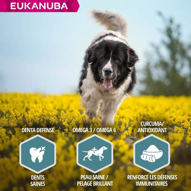 Eukanuba - CROQUETTES CHIEN ADULT LARGE AGNEAU - EUKANUBA 12 kg - Imagen 5
